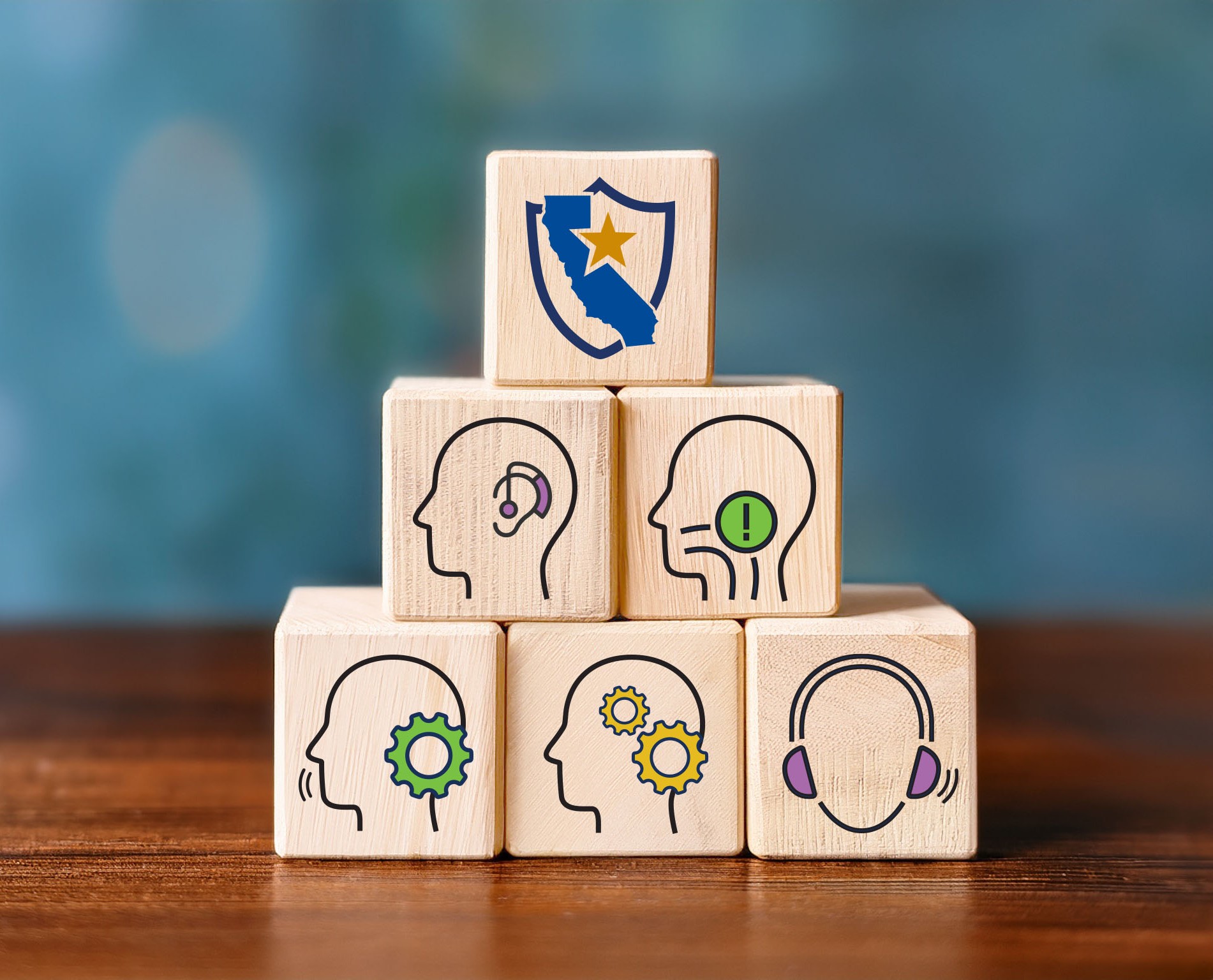 Speech-Language Pathology and Audiology and Hearing Aid Dispensers
              Board